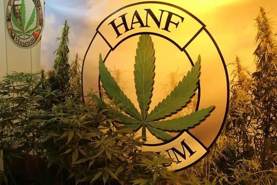 Cannabis - Hanf Museum Berlin