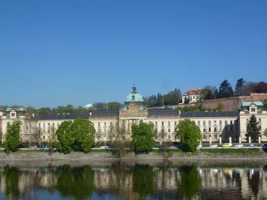 Straka Academy