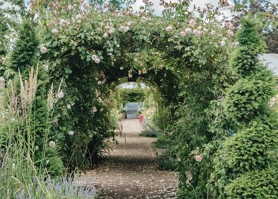 Burford Garden Company