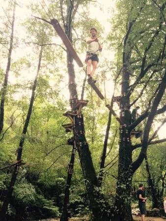 Le Bois des Plumes