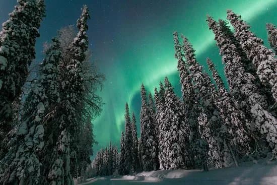 LappOne - The Five Senses of Lapland