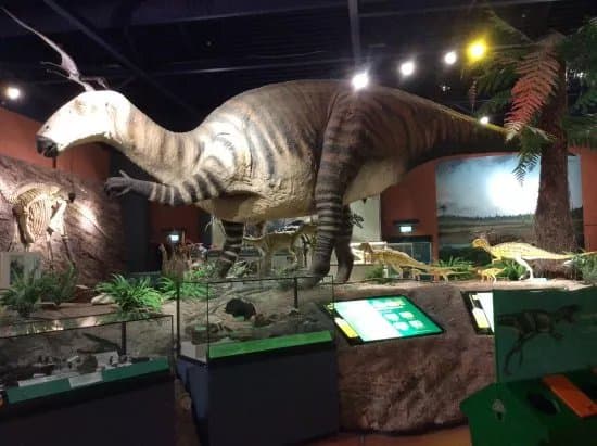 Dinosaur Isle