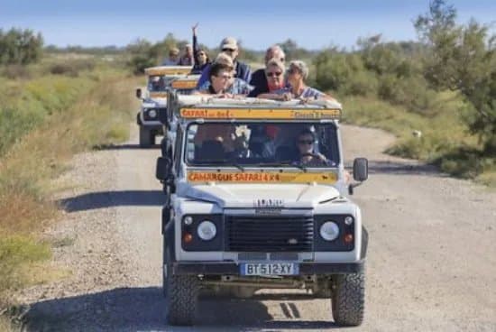 Camargue Alpilles Safaris