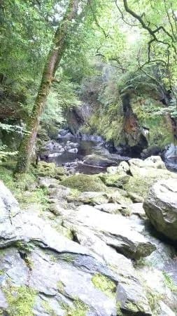Fairy Glen
