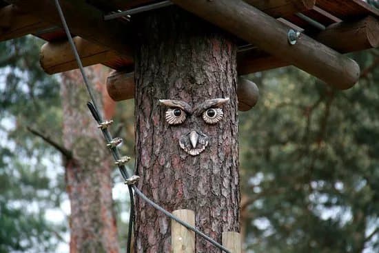 Kletterwald Luebben