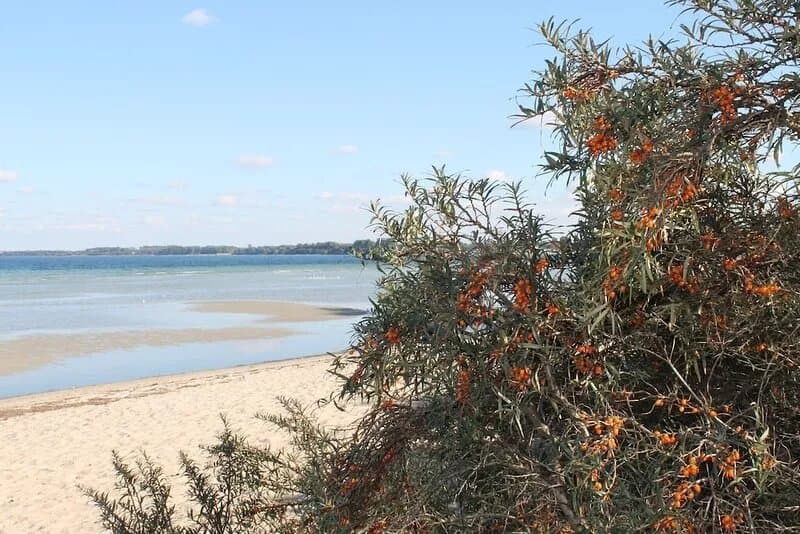 Idyllic Bungalow in Damshagen near Baltic Sea