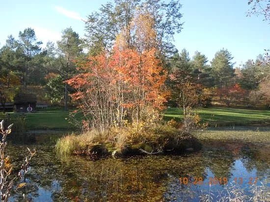 Rogaland Arboretum