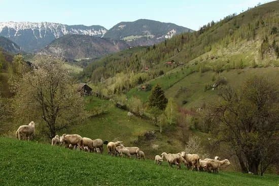 Book A Guide In Transylvania
