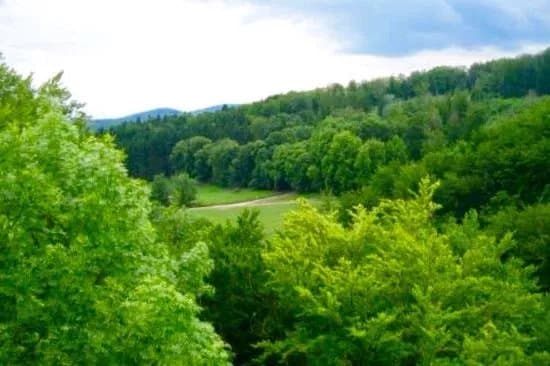 Naturpark Sparbach