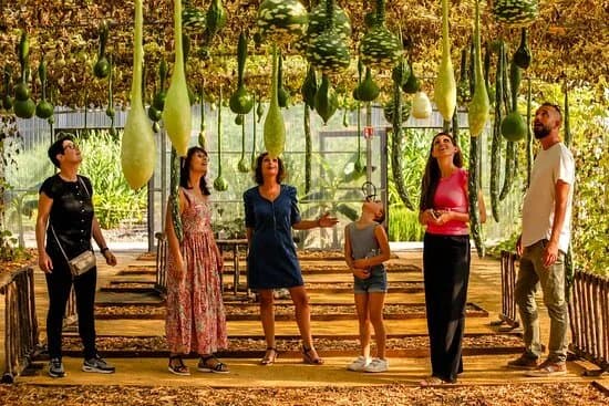 Le Potager Extraordinaire