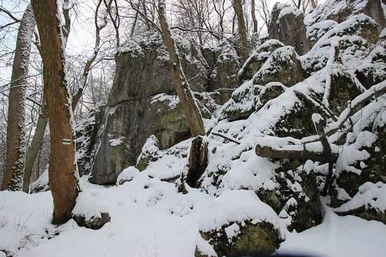 Bielany-Tyniec Landscape Park