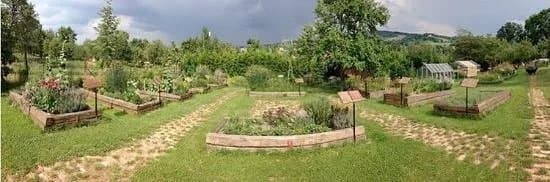 Magical Herbs Garden
