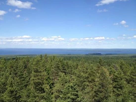 Naturum Dalarna