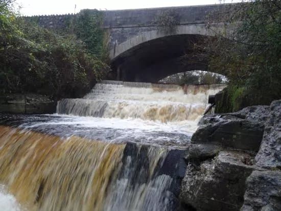 River Dodder