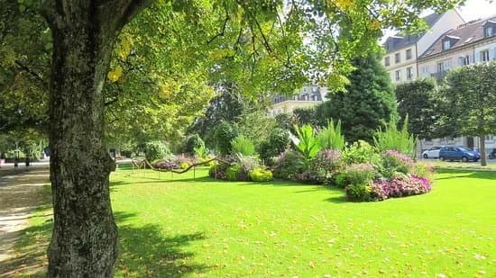 Jardin Anglais