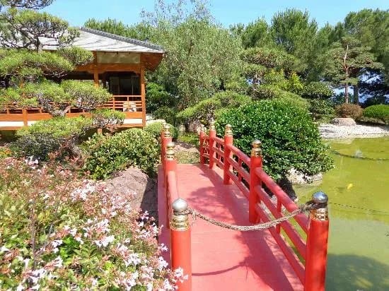 Japanese Garden