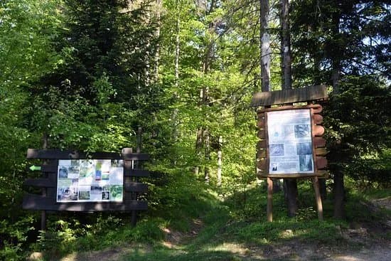 Rezerwat przyrody Madohora