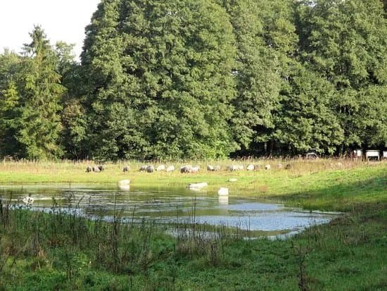 Drakamollan Naturreservat