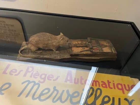 Sewer Museum