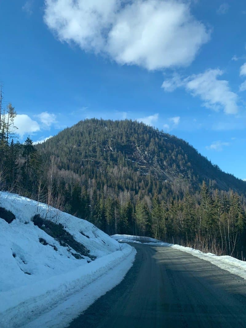 Skarrudkollen