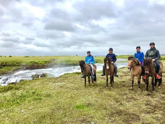 Hella Horse Rental