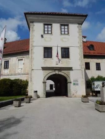 Belokranjski Muzej