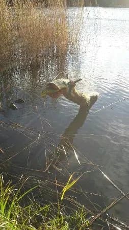 Loch Ness