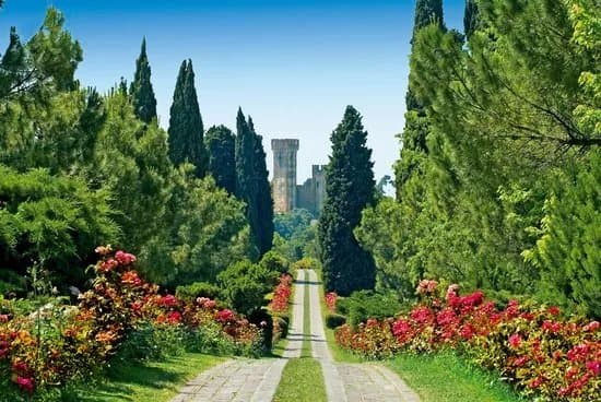 Parks & Nature