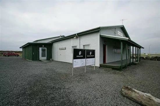 Wildlife Museum Veidisafnid