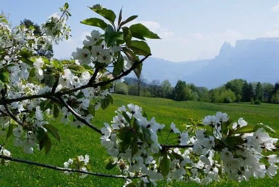 Sonnenplateau Ritten - Altopiano del Renon