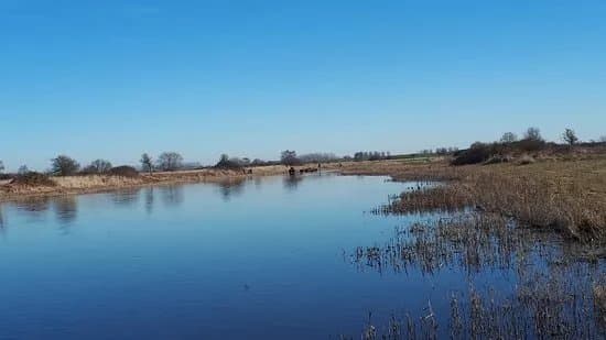 Natuurgebied Dintelse Gorzen