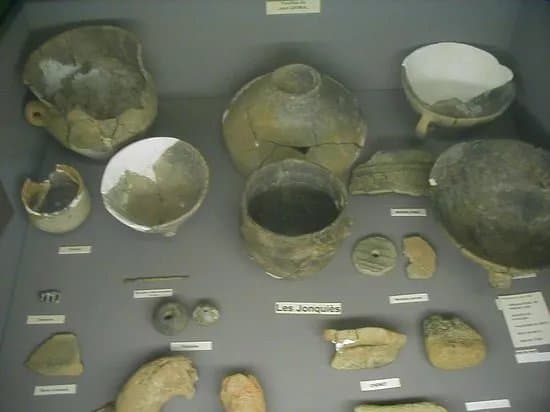 Musee Archeologique Jean Saluste