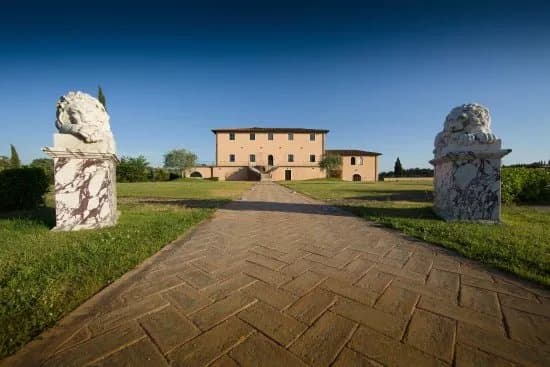 Tolaini Winery