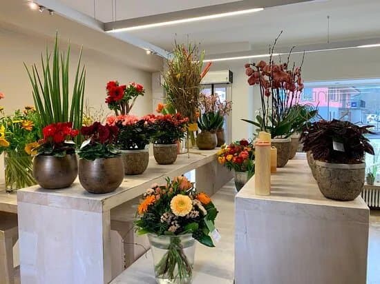 Linder Blumen