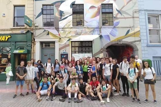 Waterford guided Street Art tours