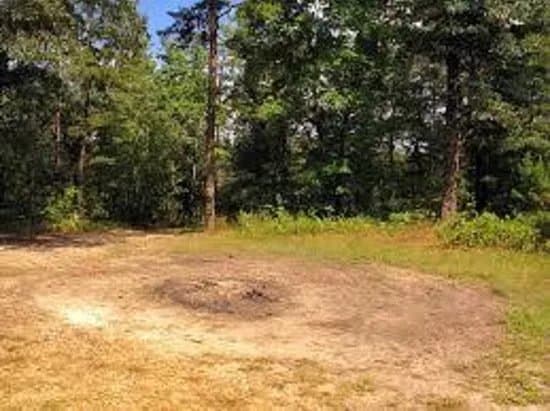 Hoia Baciu Forest