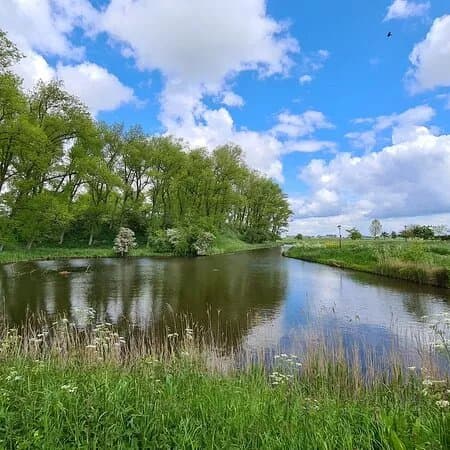 Wallen van Sluis