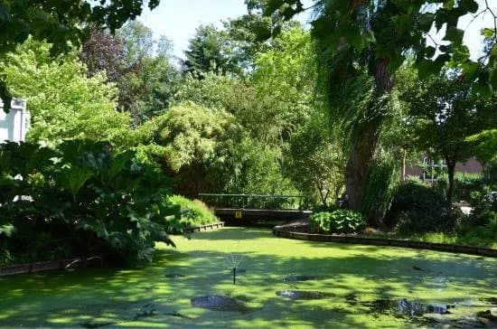 TU Delft Hortus Botanicus