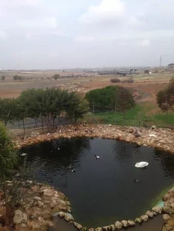 Melios Zoo