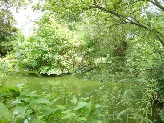 Parc Balbi