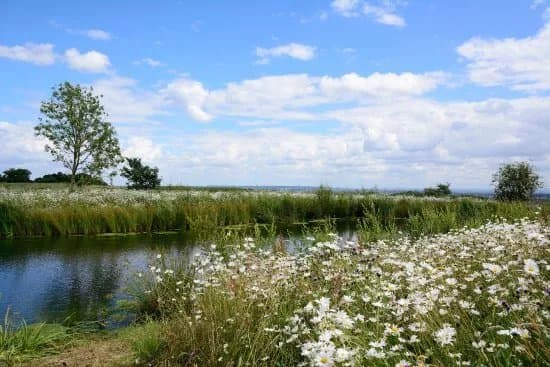 Stanmore Country Park