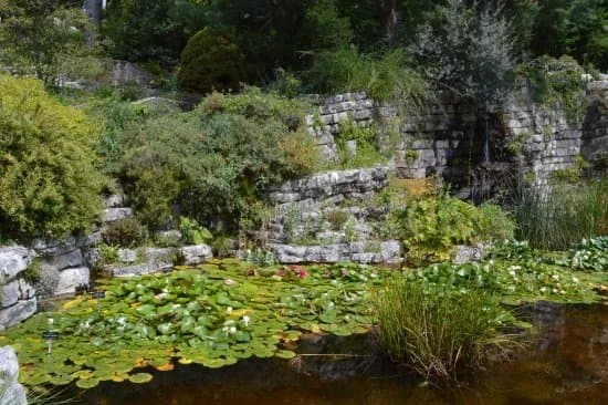 Jardin Botanique Lausanne