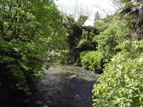 Vipava River Springs
