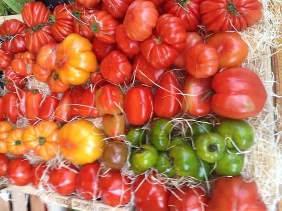 Marche du Vendredi