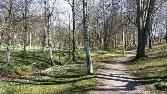 Boulognerskogen