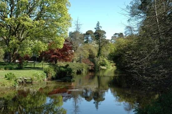 Mount Usher Gardens