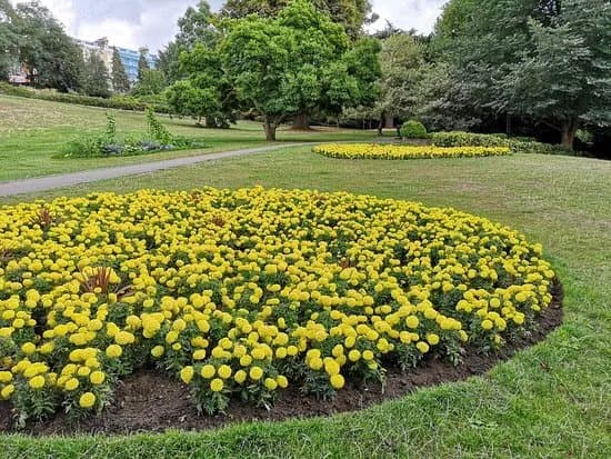 Terrace Gardens- Richmond Hill