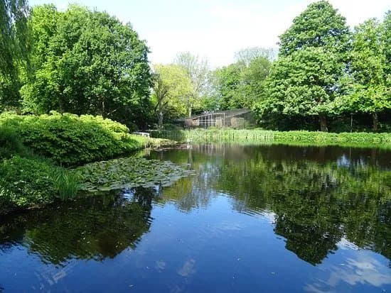 Broersepark