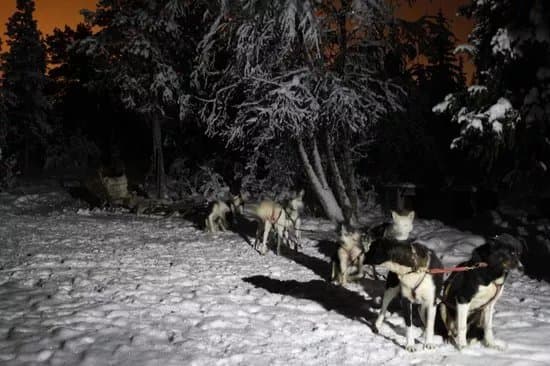 Lapland Wilderness Tours - Day Tours