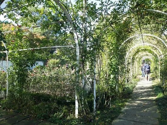 Park im Grunen - Grun 80